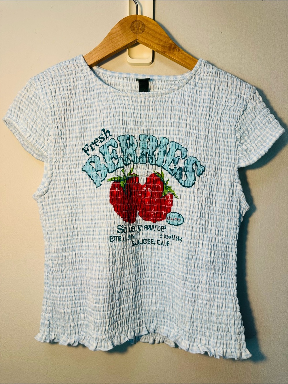 Wild Fable Gingham Smocked Strawberry Baby Tee Light Blue Size XL